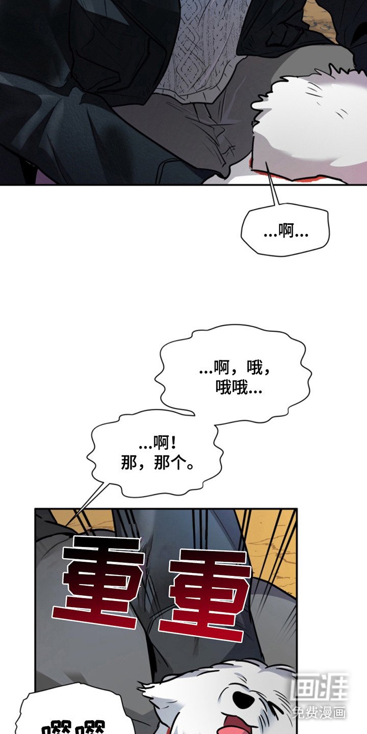 第30章：暖暖的锅炉：交集