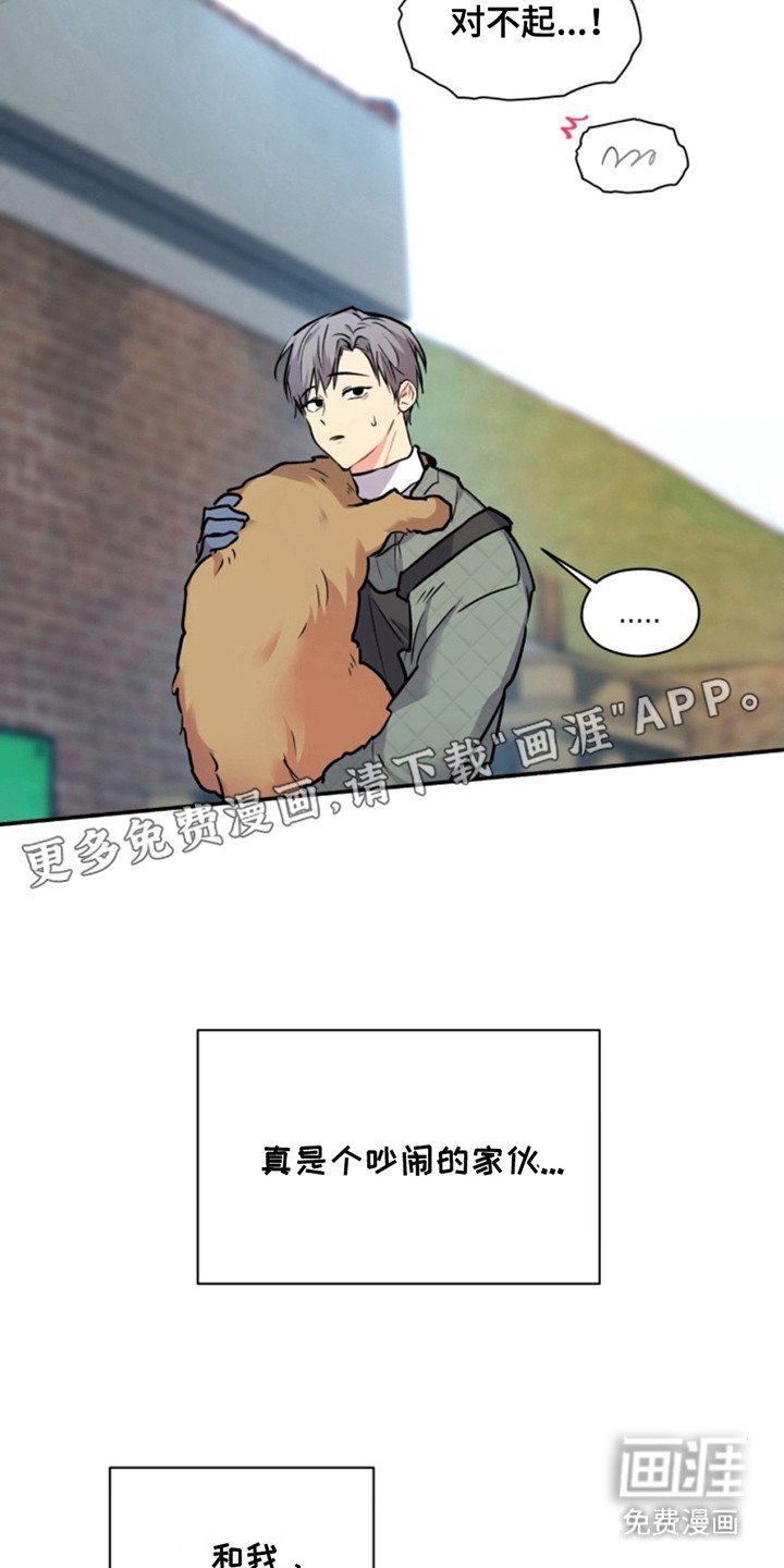 第30章：暖暖的锅炉：交集
