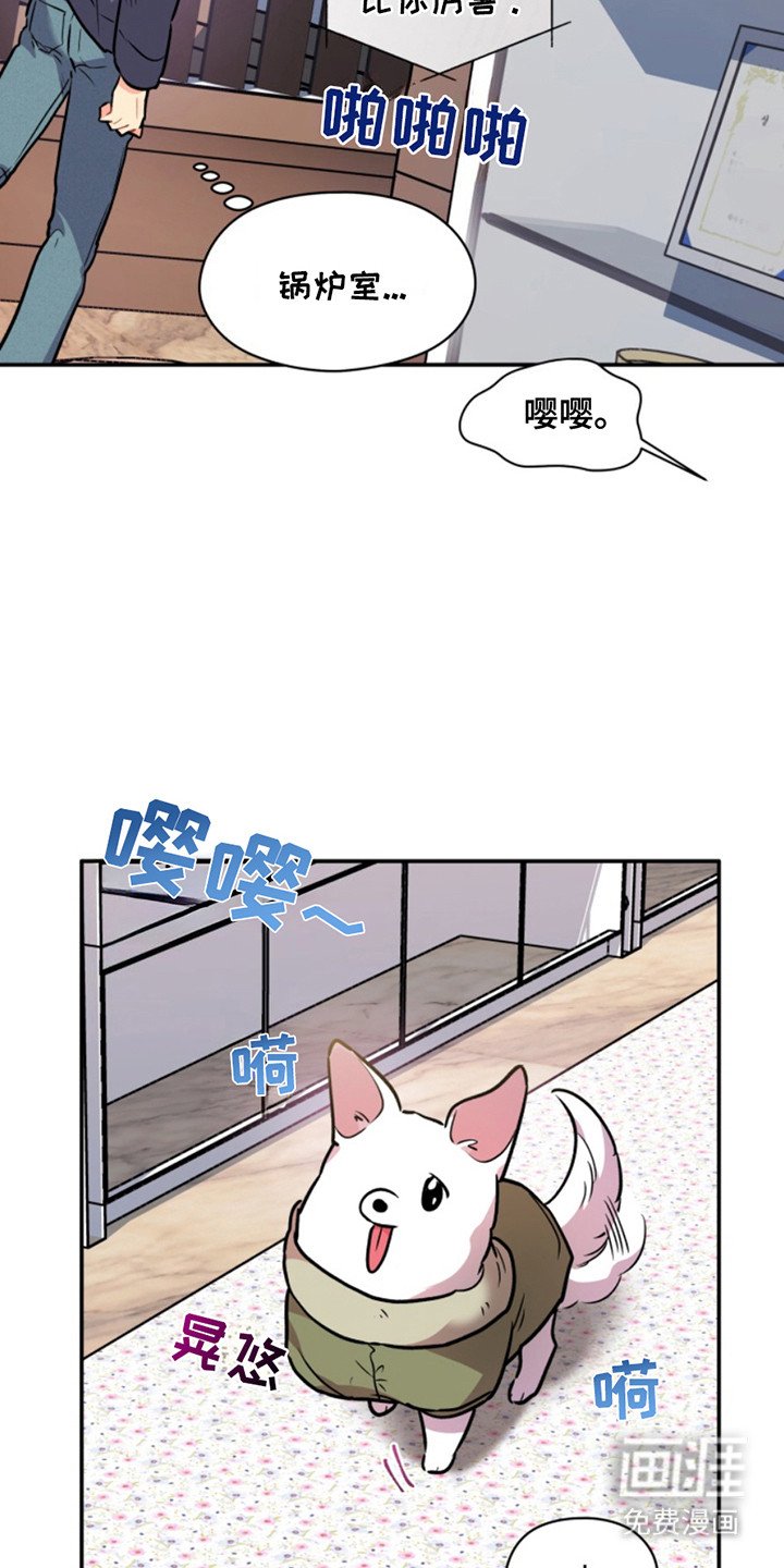 第31章：暖暖的锅炉：吵吵闹闹