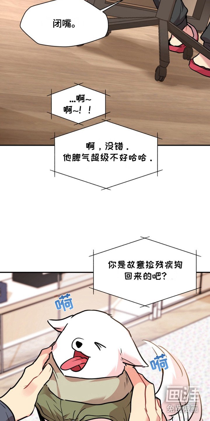 第31章：暖暖的锅炉：吵吵闹闹