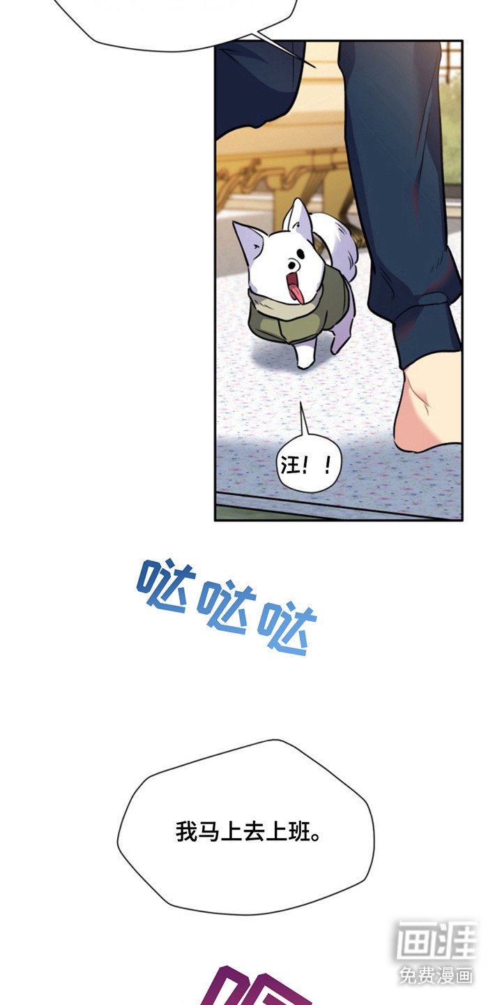第35章：暖暖的锅炉：名主播
