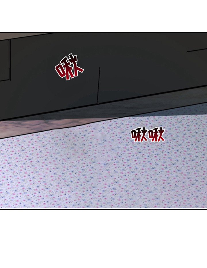第38章：暖暖的锅炉：私自喜欢