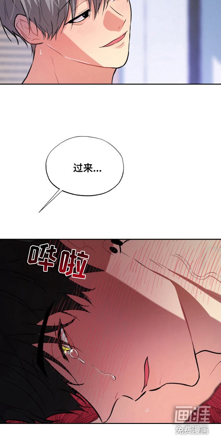 第39章：暖暖的锅炉：家人（完）