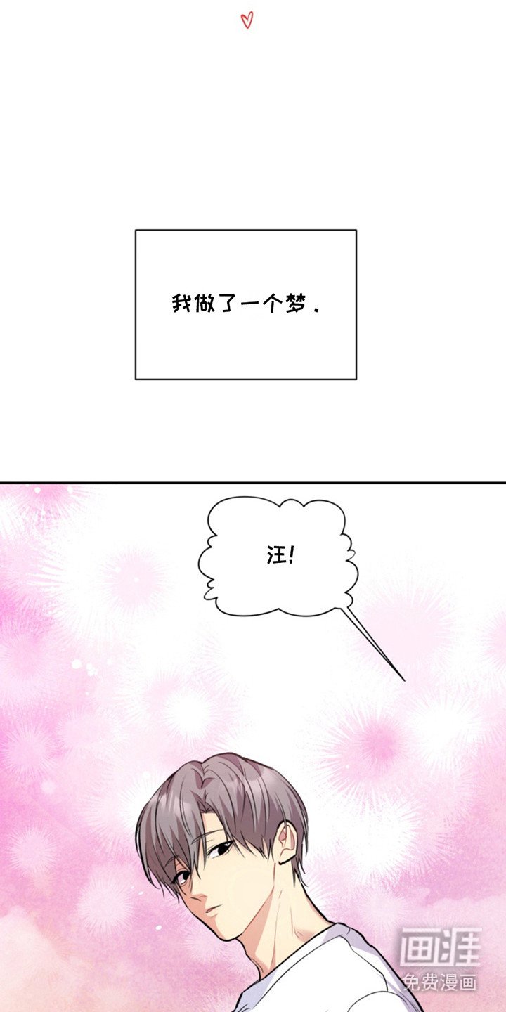 第39章：暖暖的锅炉：家人（完）