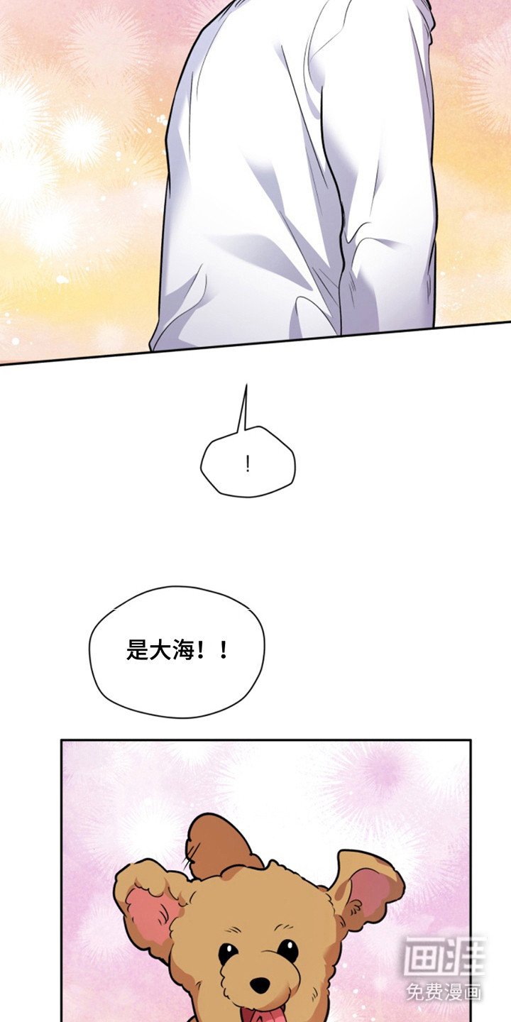 第39章：暖暖的锅炉：家人（完）