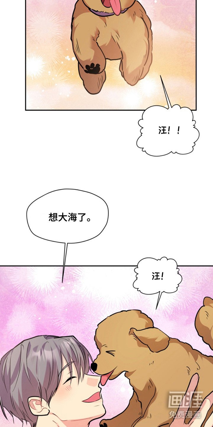第39章：暖暖的锅炉：家人（完）