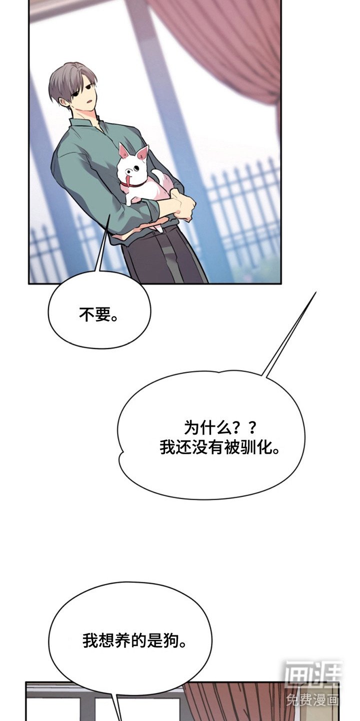第39章：暖暖的锅炉：家人（完）