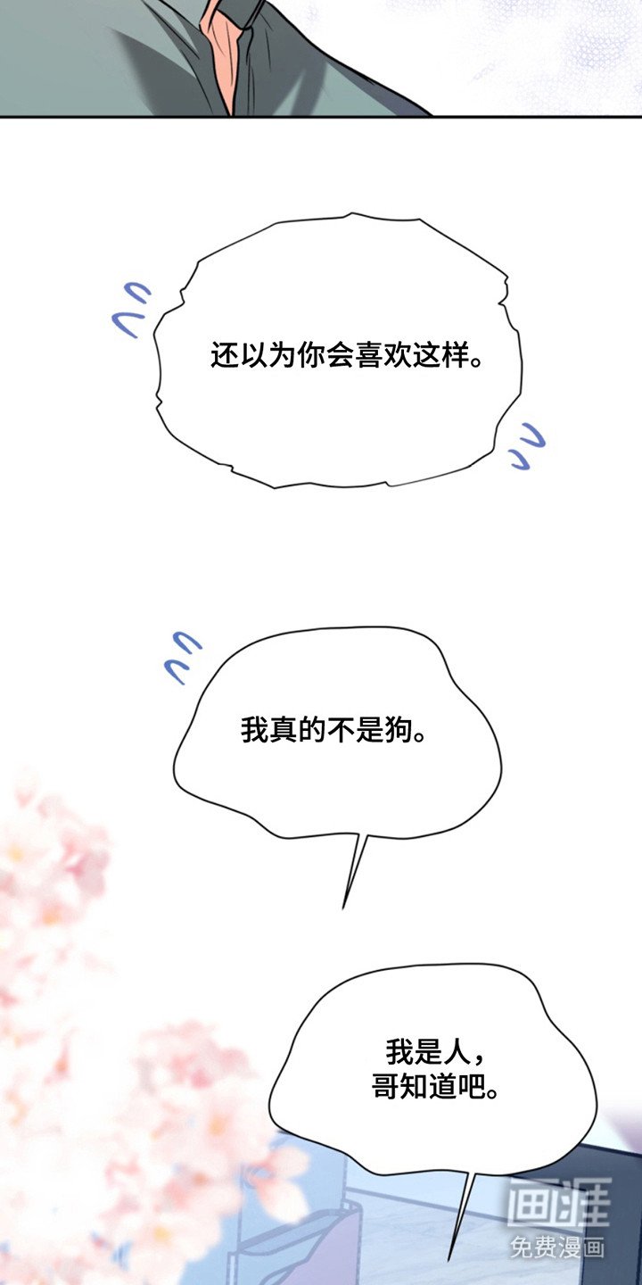 第39章：暖暖的锅炉：家人（完）