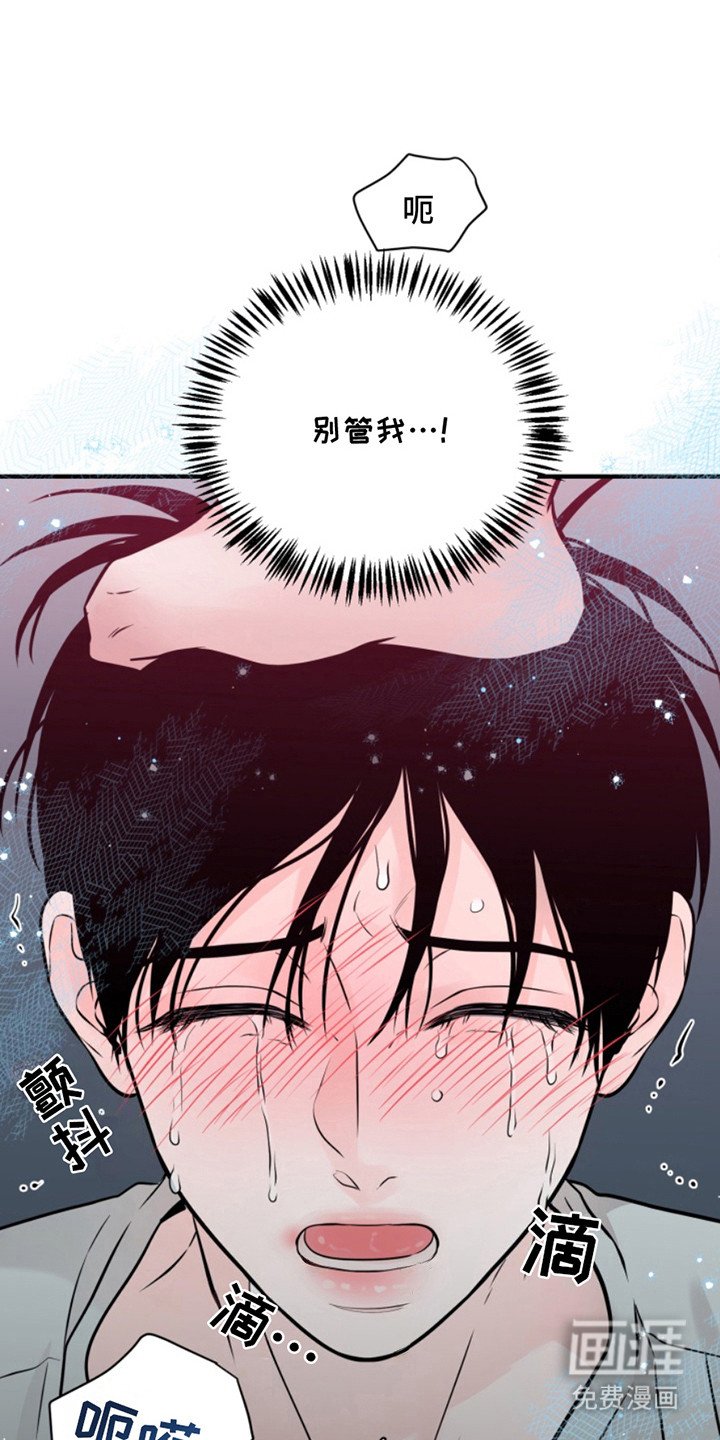 第47章：朱光成：恰恰相反（完）