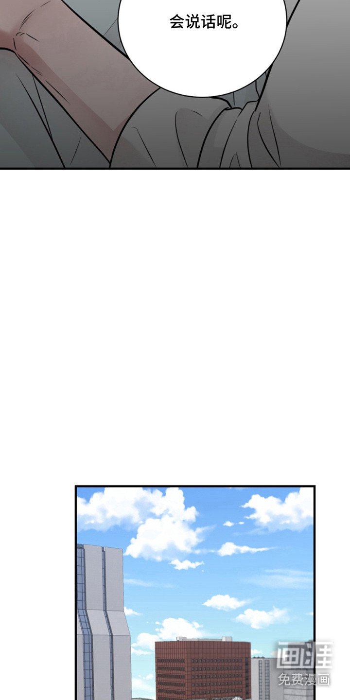 第47章：朱光成：恰恰相反（完）