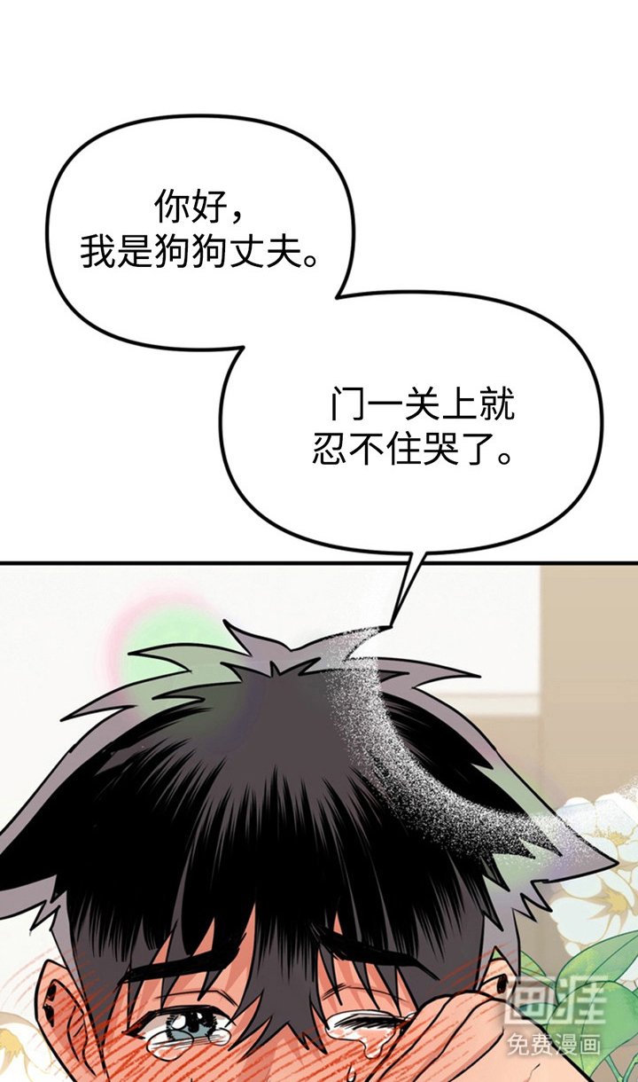 第49章：小狗的丈夫：敲门