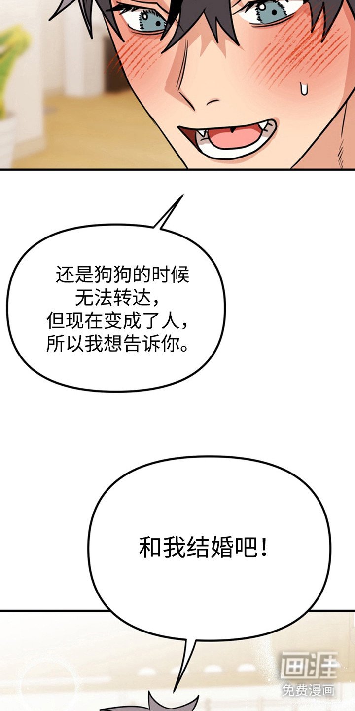 第50章：小狗的丈夫：还债