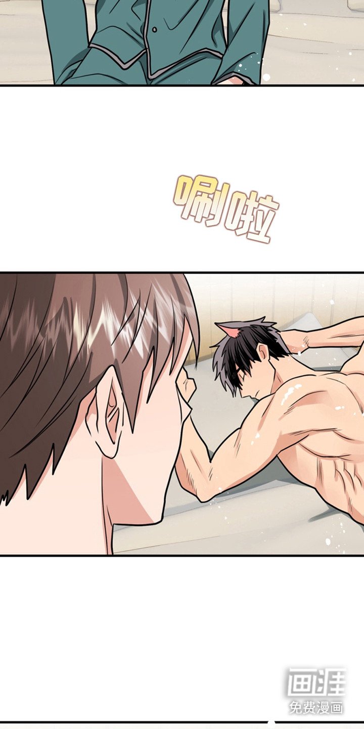 第51章：小狗的丈夫：登山