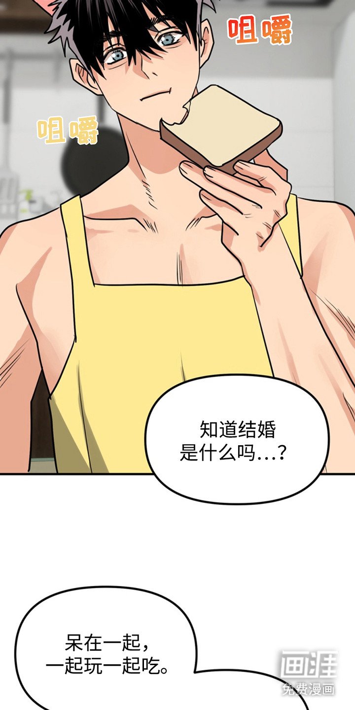 第51章：小狗的丈夫：登山