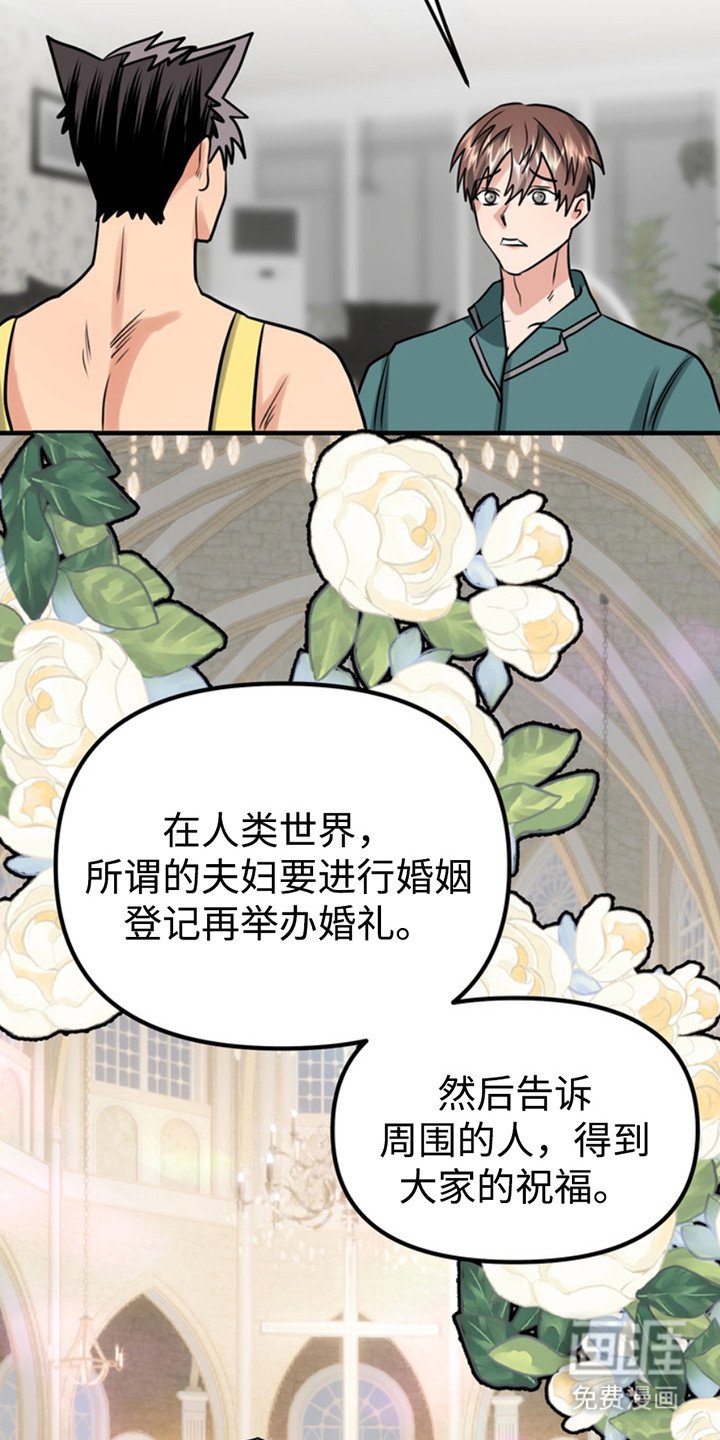 第51章：小狗的丈夫：登山