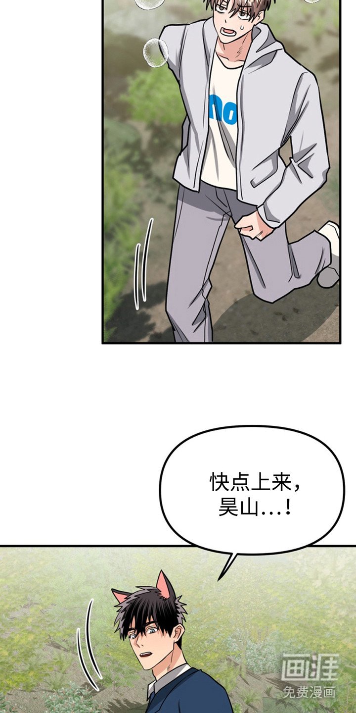 第51章：小狗的丈夫：登山