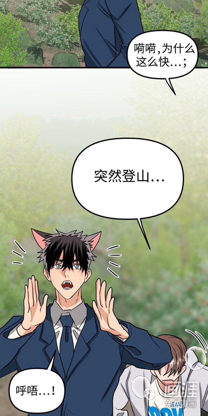 第51章：小狗的丈夫：登山