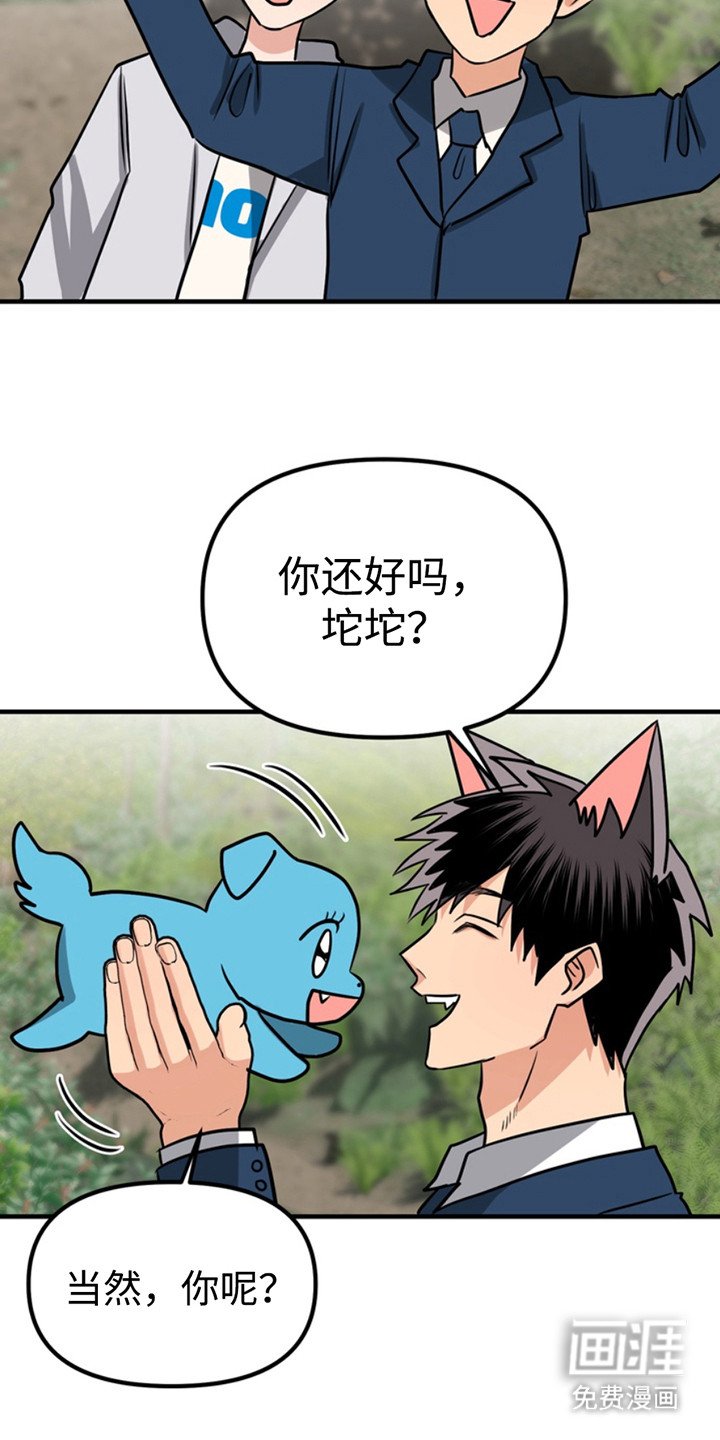 第52章：小狗的丈夫：登记书