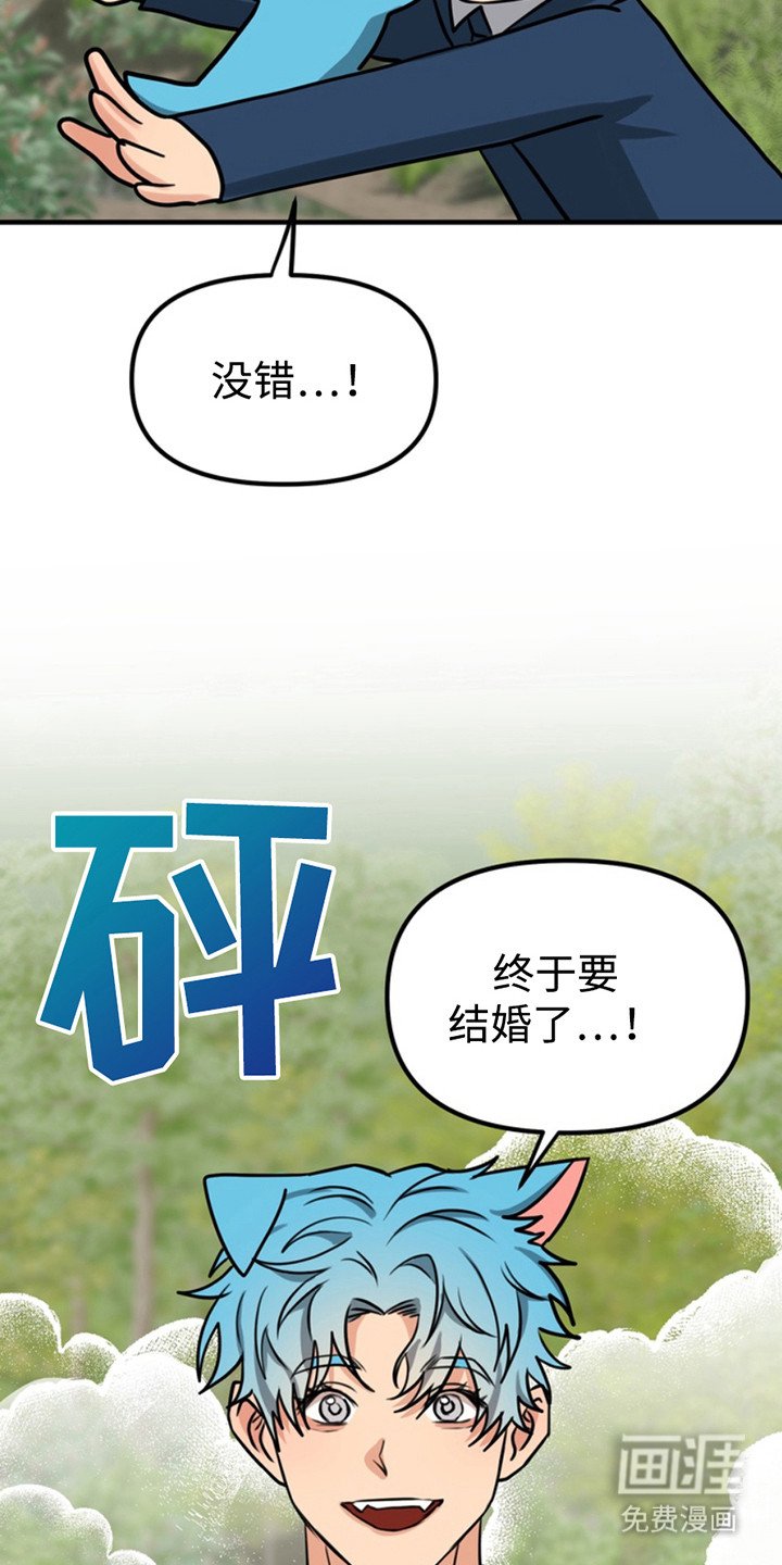 第52章：小狗的丈夫：登记书