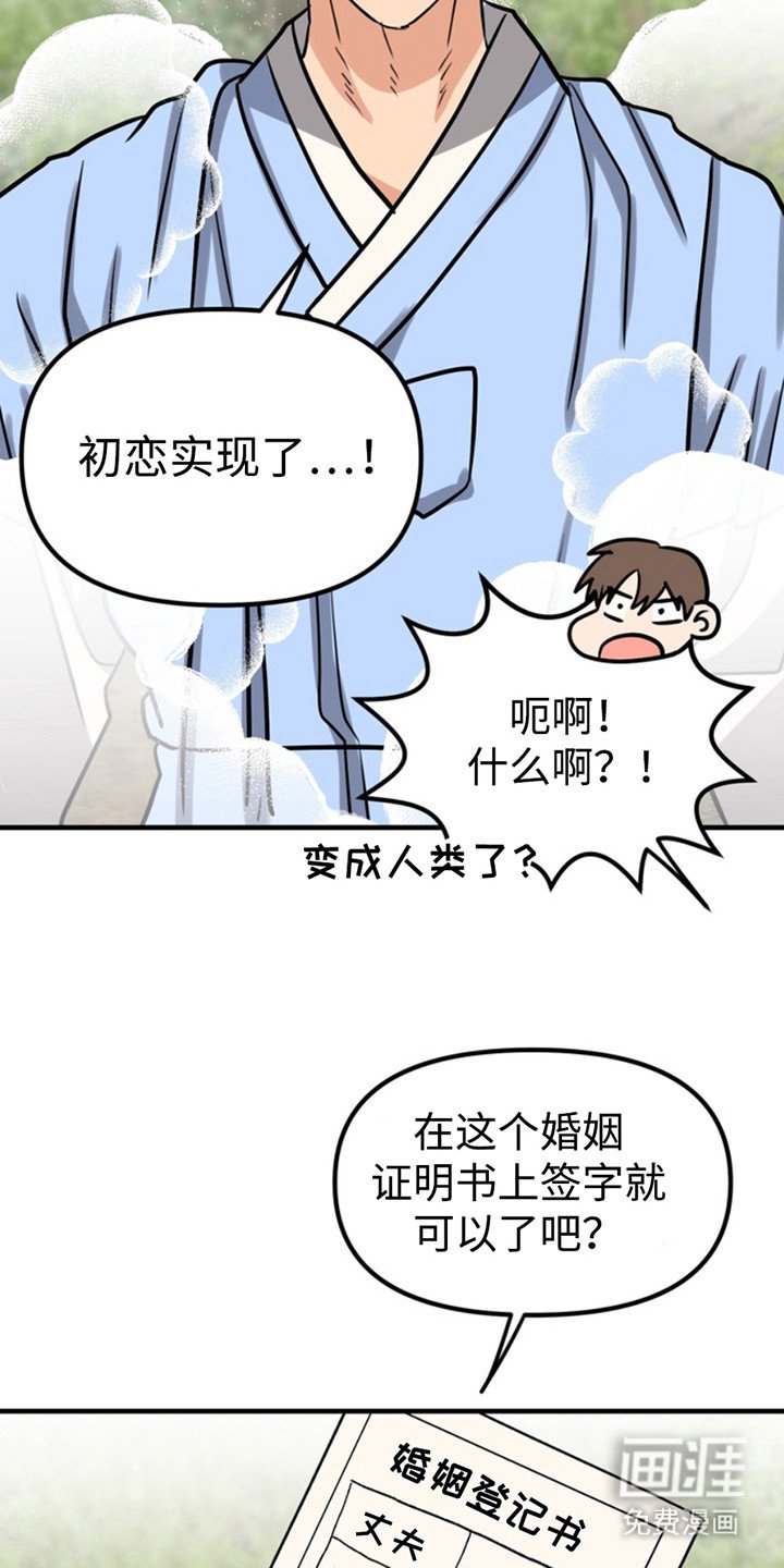 第52章：小狗的丈夫：登记书