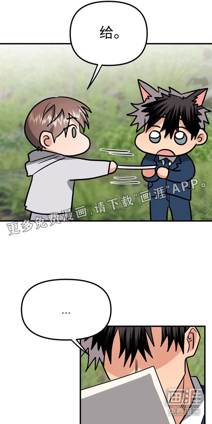 第52章：小狗的丈夫：登记书
