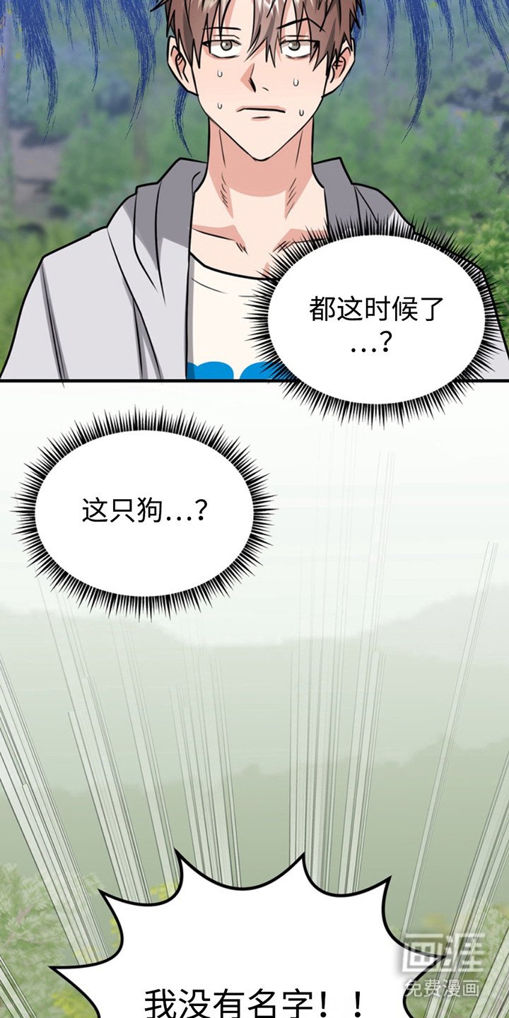 第52章：小狗的丈夫：登记书