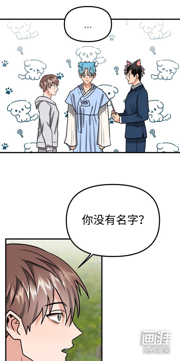 第52章：小狗的丈夫：登记书