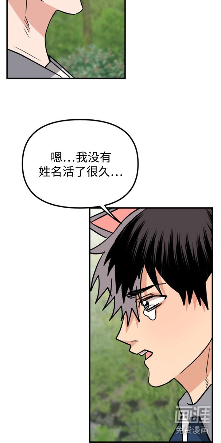 第52章：小狗的丈夫：登记书
