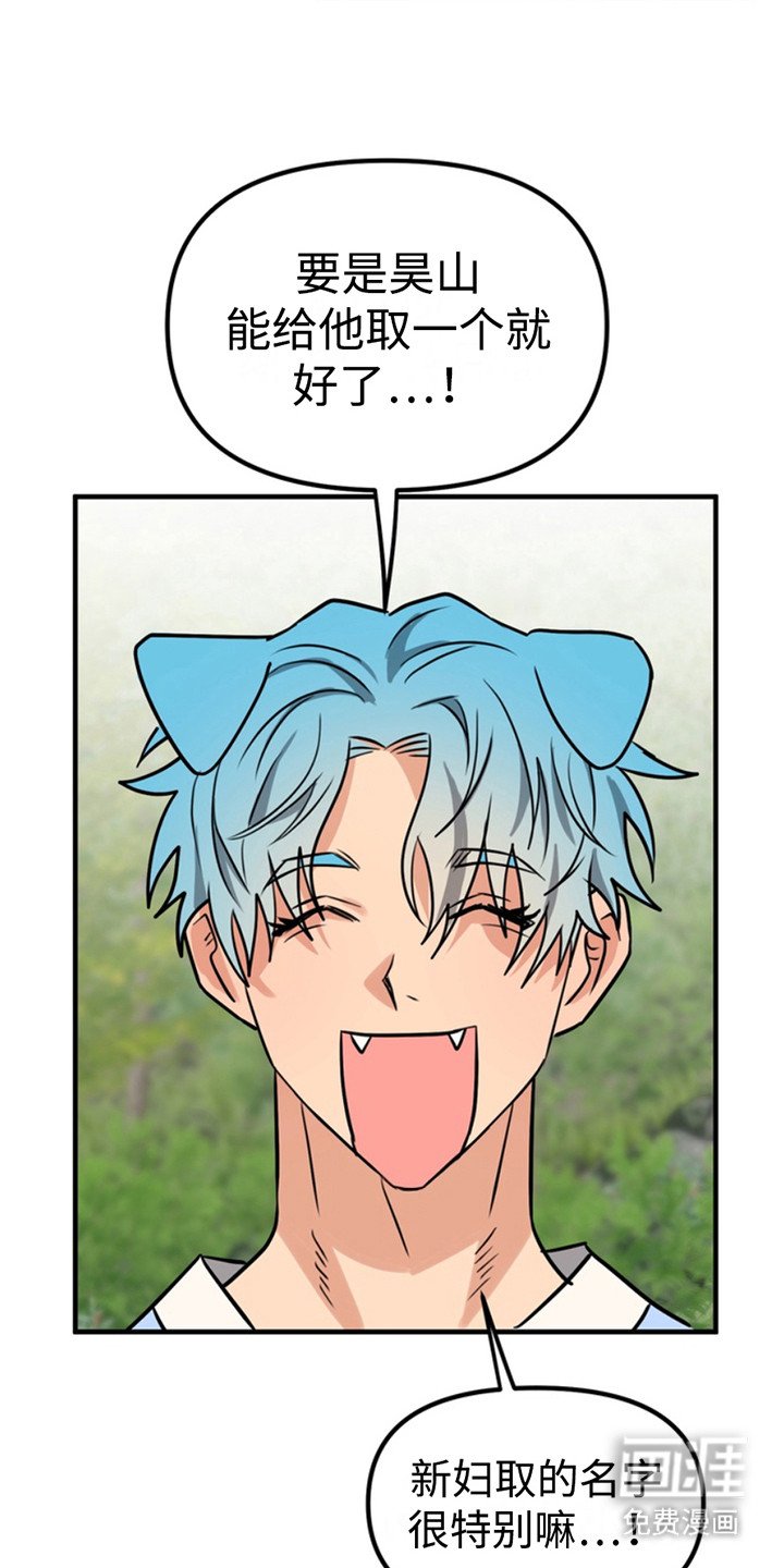 第52章：小狗的丈夫：登记书