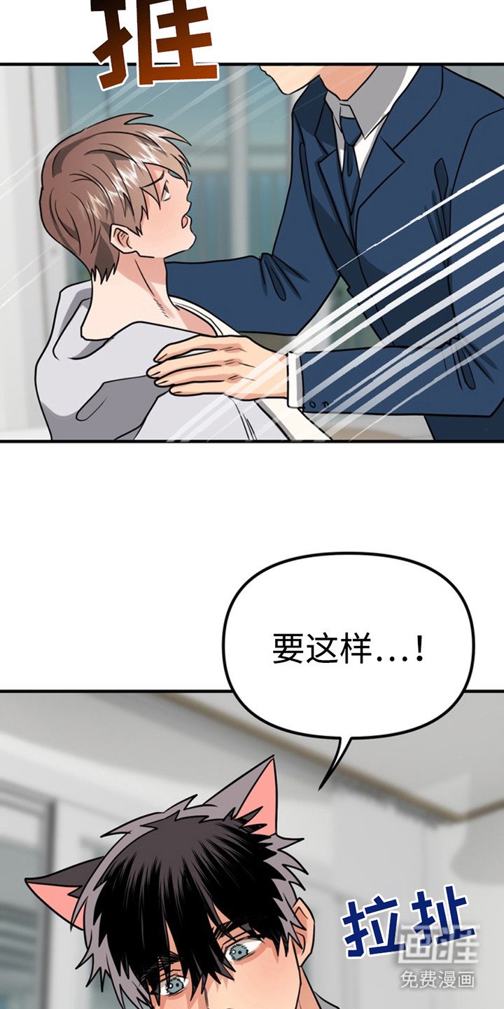 第53章：小狗的丈夫：取名