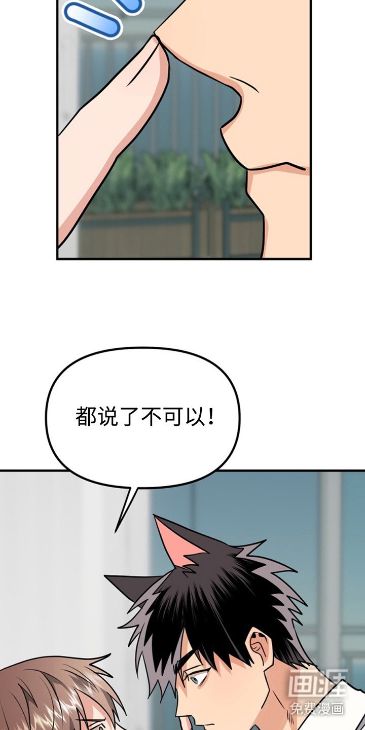 第53章：小狗的丈夫：取名