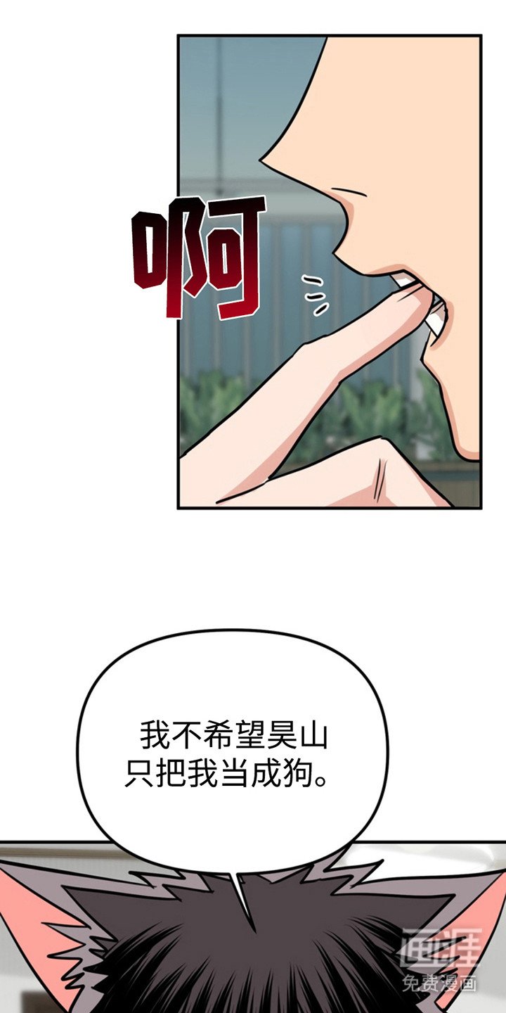 第54章：小狗的丈夫：请多关照（完）