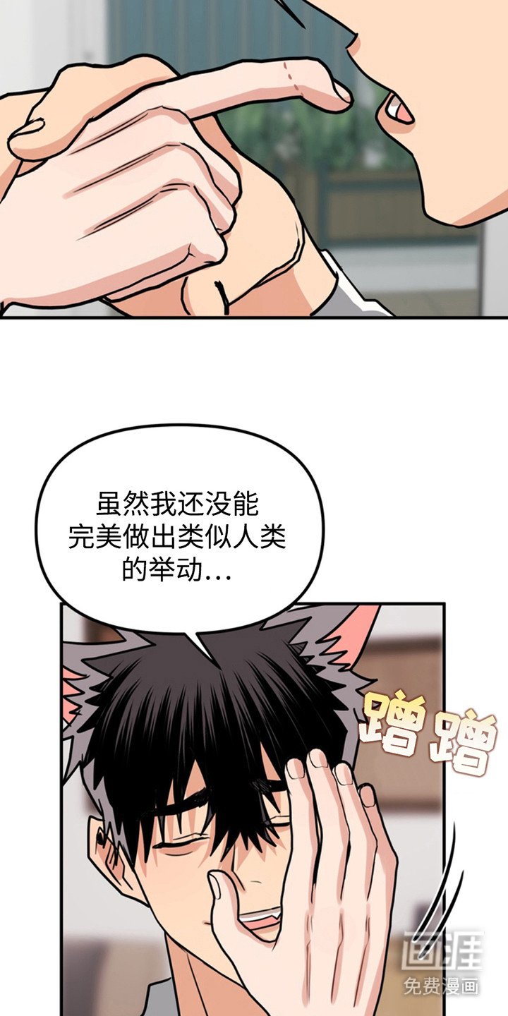 第54章：小狗的丈夫：请多关照（完）