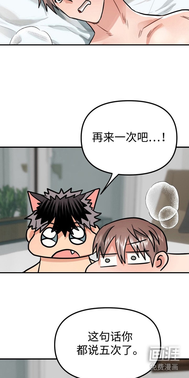 第54章：小狗的丈夫：请多关照（完）