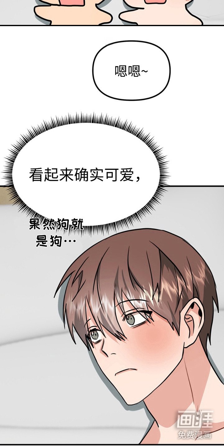 第54章：小狗的丈夫：请多关照（完）
