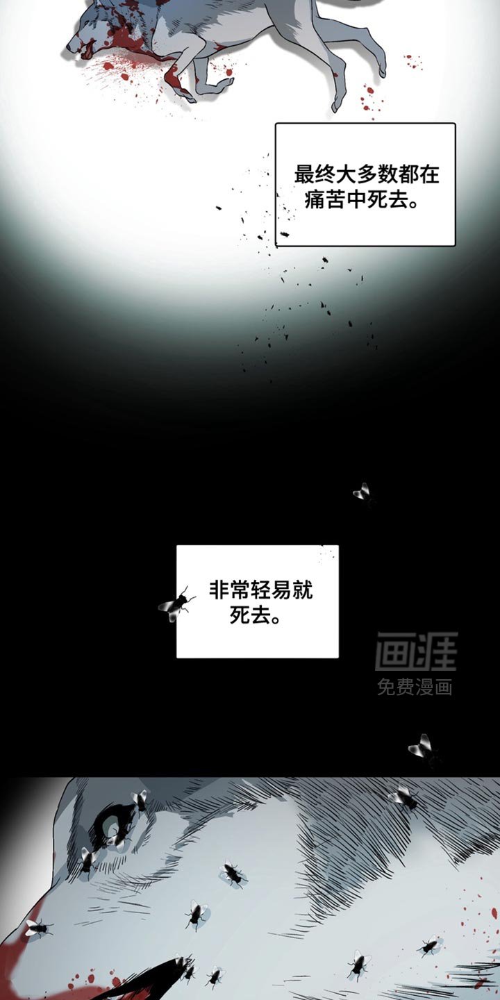 第59章：【番外】等你想说再告诉我