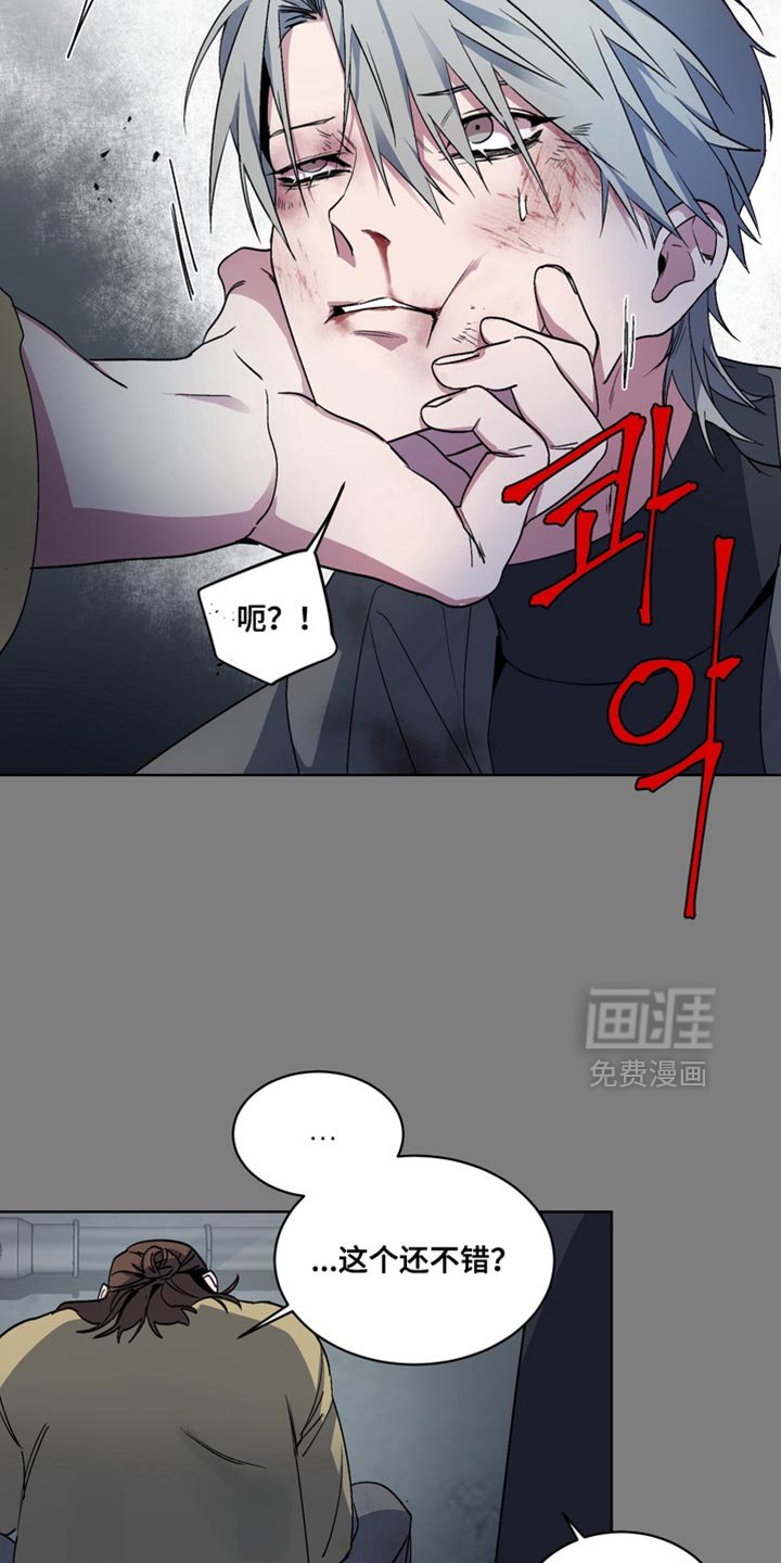 第61章：【番外】末日有什么不可以