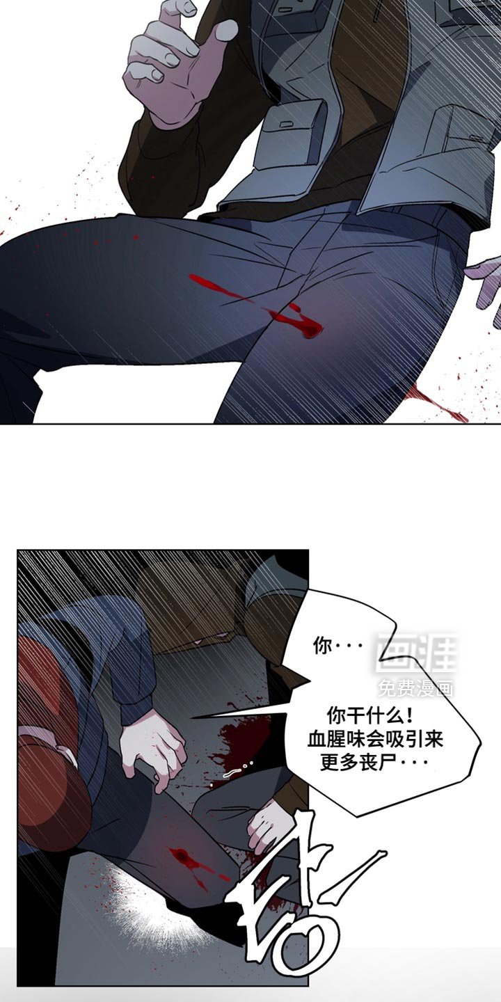 第62章：【番外】正确的选择