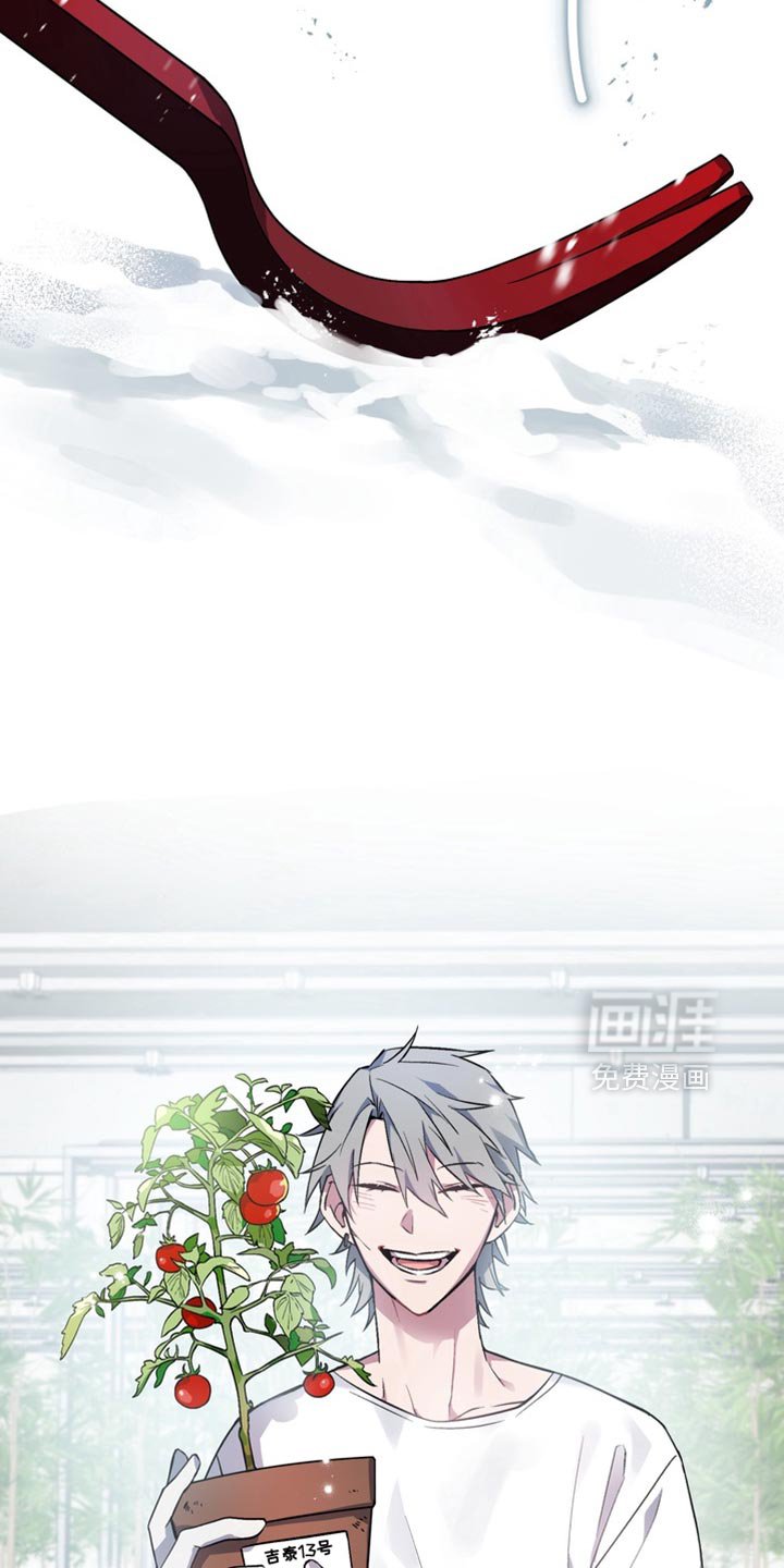 第68章：【番外】悲伤的故事