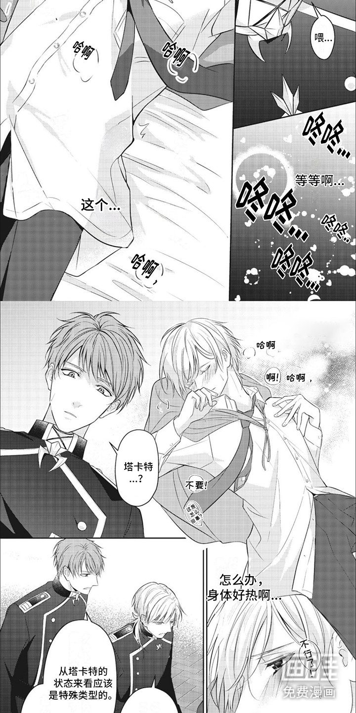 第5章：魔法纹章