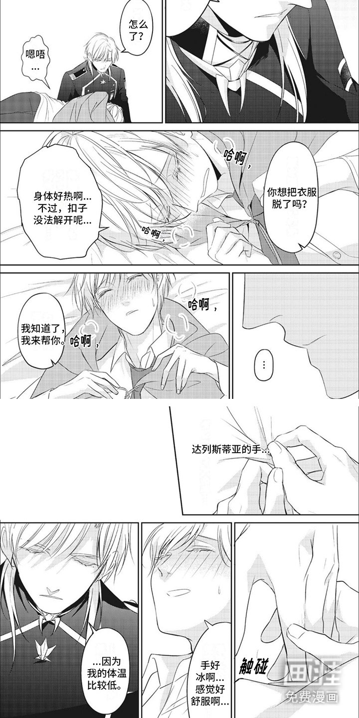 第5章：魔法纹章