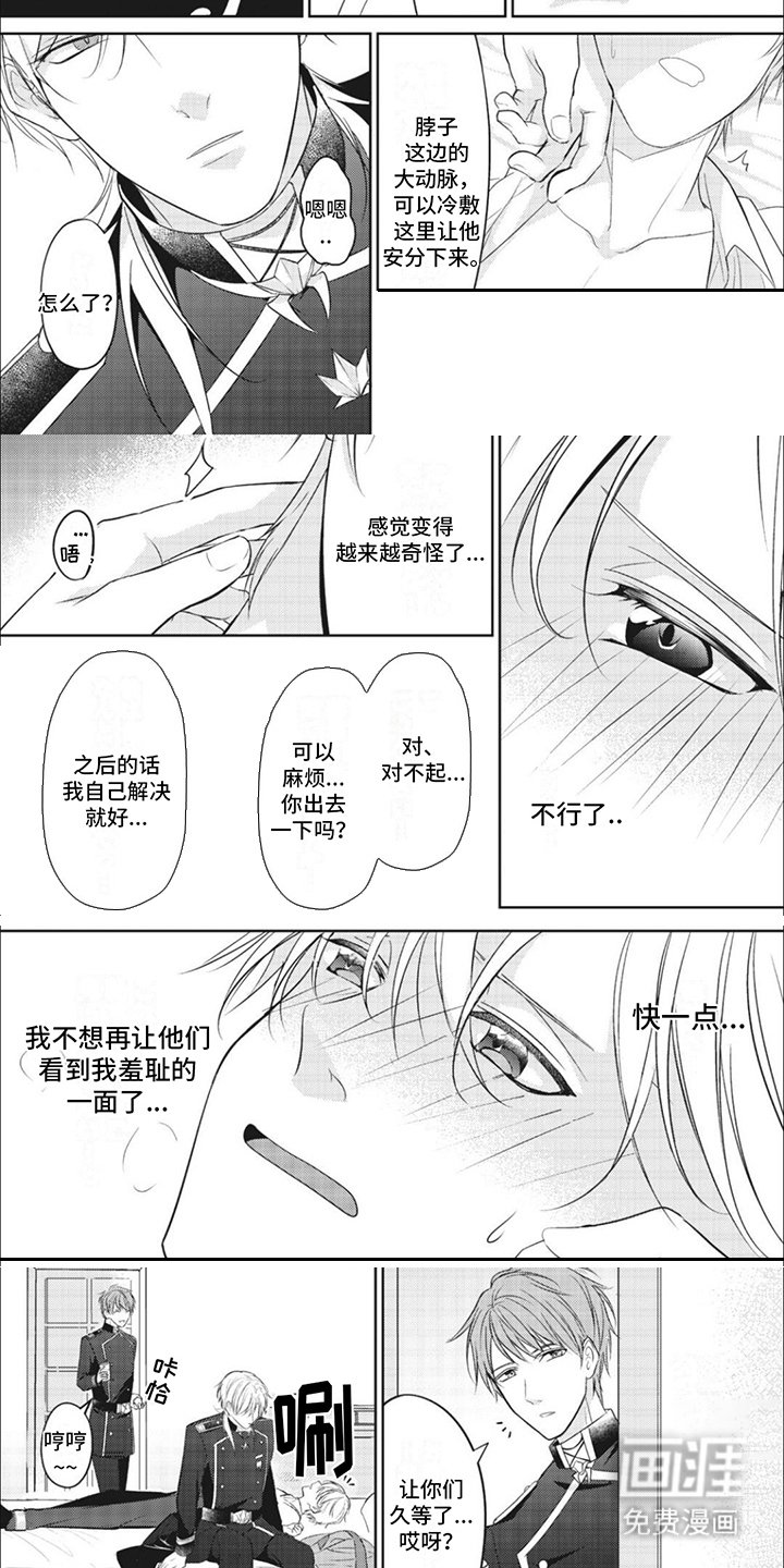 第5章：魔法纹章