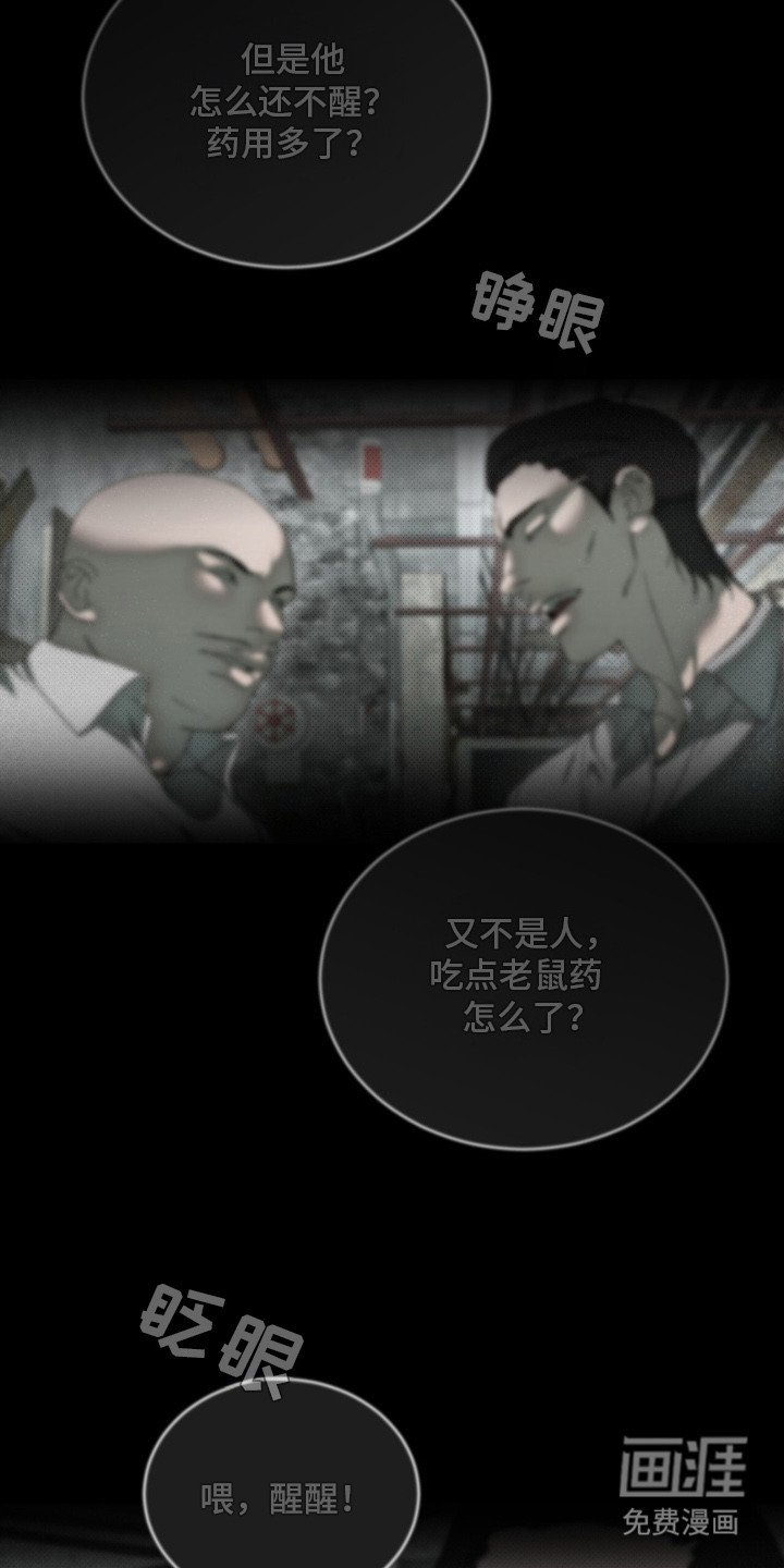 第1章：地下拳击场