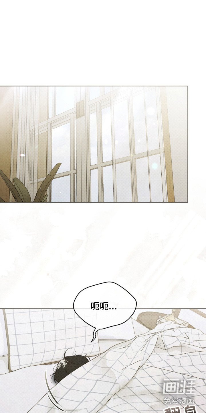 第15章：理清思路
