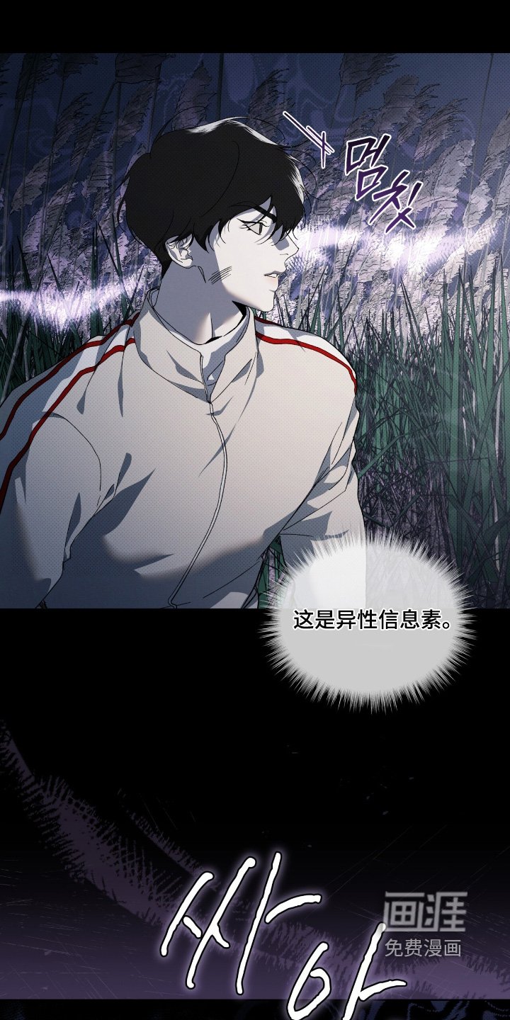 第28章：谢谢你帮我