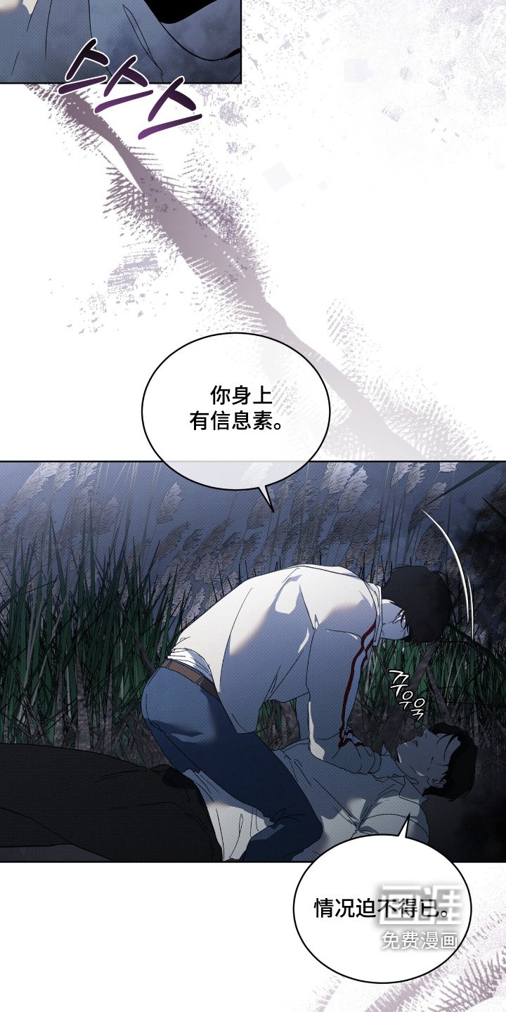 第29章：两清了
