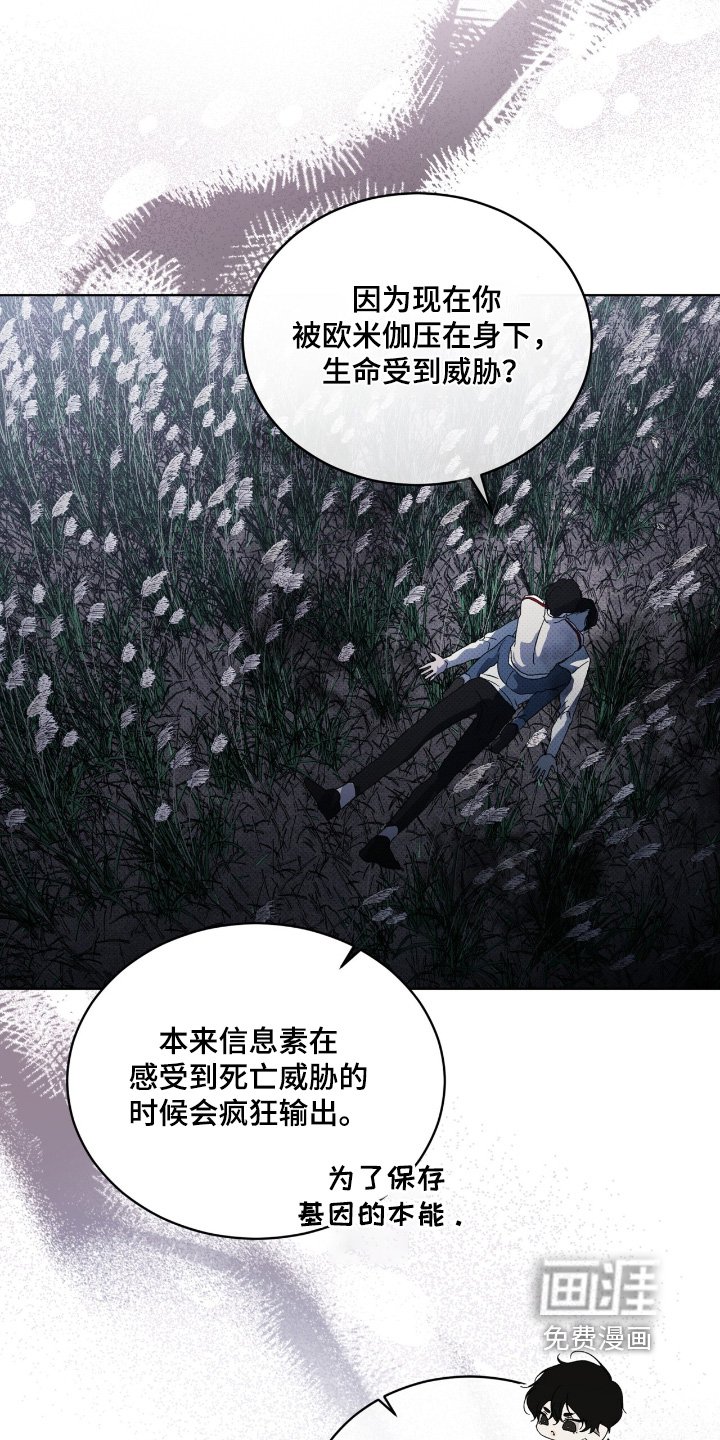 第29章：两清了