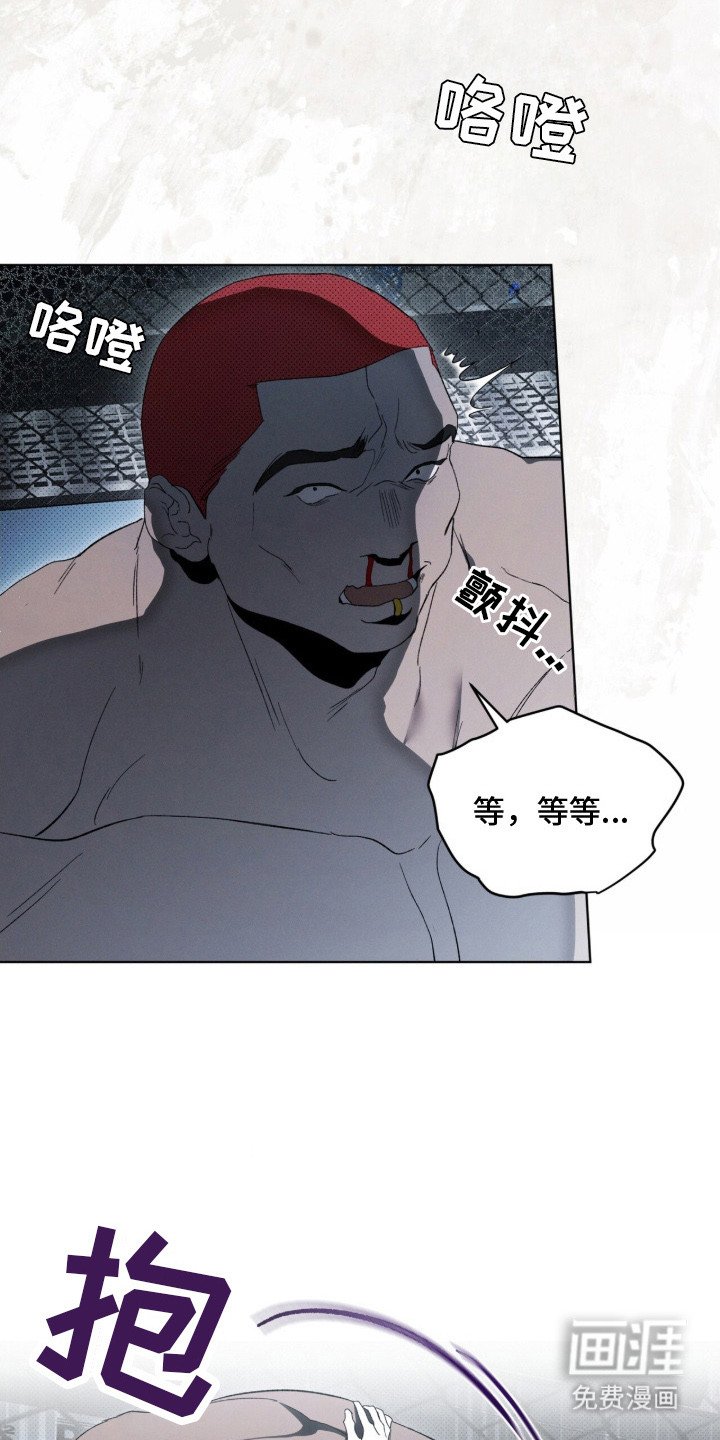 第3章：新冠军