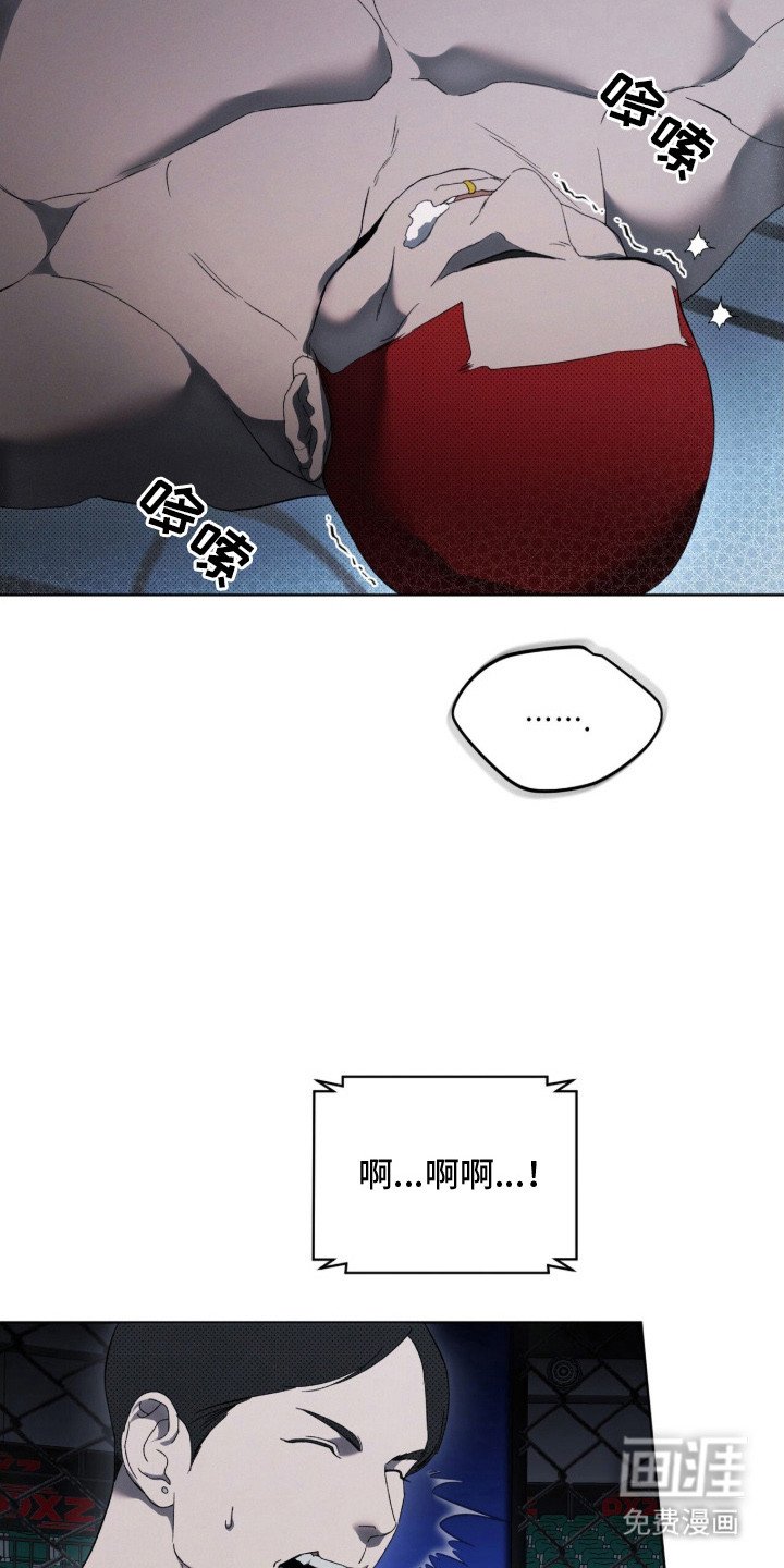 第3章：新冠军