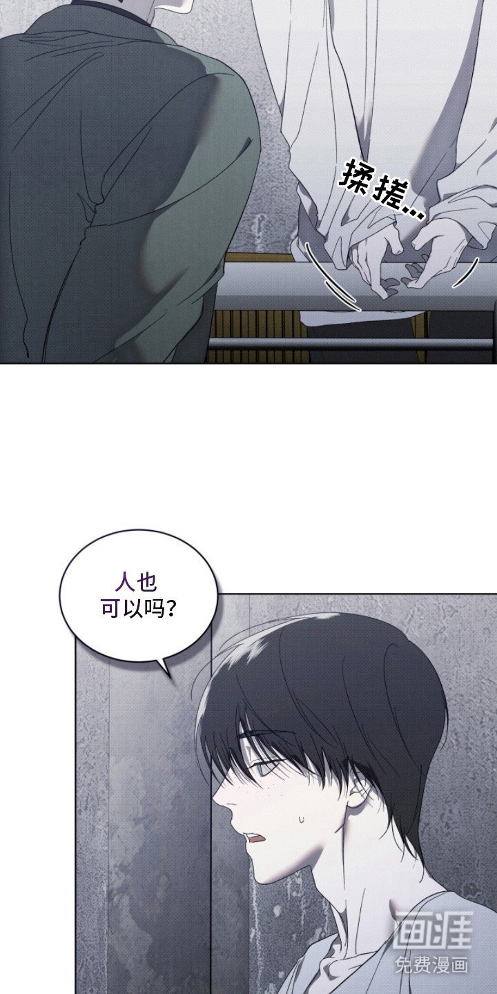 第5章：最后一次见面